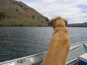 trips/2004-08-13_twin_lakes/IMG_1093_1024.jpg